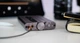 Усилитель с ЦАП iFi xDSD Gryphon (90402724) - изображение 4