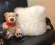 Подушки из 100% овчины белые 40*40 см - изображение 1
