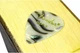 Медиатор Fender 351 SHAPE PREMIUM PICKS ABALONE HEAVY - изображение 3