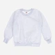 Свитшот Fruit of the loom Kids 0620390 (062039094_116) - изображение 1
