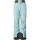 Лыжные и сноубордические брюки Picture Organic Exa W 2023 cloud blue M WPT081D - изображение 1