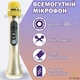 Мікрофон караоке Magic Karaoke L-899 Золотий Портативний 2в1 вбудована Bluetooth колонка 30Вт Функція запису та Фонограма Режим Дует Гучний бас Шумопридушення з чохлом - зображення 2