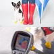 Гумове взуття-шкарпетки для малих собак PawZ Жовтий 12шт XXS(2.5-3.8см) (PWZ-XXS12) - зображення 4