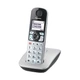 Телефон DECT Panasonic KX-TGE510RUS - изображение 1
