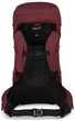 Рюкзак Osprey Archeon 45 Wms 45 л L/XL Красный (009.001.0020) - изображение 3