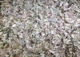 Мате Без Добавок 100г - изображение 2