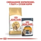 Сухий корм Royal Canin Bengal Adult - для дорослих кішок породи Бенгальська від 12 місяців, 10 кг (4370100) - зображення 4