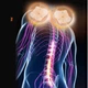 Массажёр роликовый для всего тела с подогревом 4 кнопки Shiatsu Massager of Neck Kneading Бежевый - изображение 13