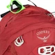Рюкзак Osprey Talon Junior 11 л Красный (009.2342) - изображение 4