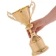 Кубок спортивный с ручками приз спортивный SP-Sport 296C высота 32 см Gold - изображение 4