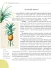 Зелений вінок планети. Рослини й людство / Кирило Булаховський - зображення 3