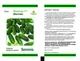 Марінда F1 Огірок Самозапильний Насіння Leda Agro 100 шт - изображение 1