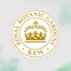 Шампунь для слабкого волосся Herbal Essences Bee Strong з медовими есенціями, 400 мл - зображення 5