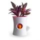 Умный вазон Qualy Log & Squirrel Tree Pot white-pink QL10075 - изображение 2