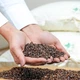 Подушка ортопедична IDEIA Aromavita 50х70 з гречаною лузгою, гречане лушпиння, гречиха, з гречкою, з гречаним лушпинням та саше з травами - зображення 14