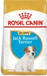 Sucha karma dla szczeniąt Royal Canin Jack Russel Puppy 1.5 kg (3182550822121) (21010151) - obraz 2