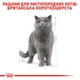 Вологий корм для дорослих котів породи британська короткошерста Royal Canin British Shorthair Adult pouch 85 г (домашній птах) - зображення 5
