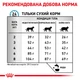 Сухой диетический корм для взрослых кошек Royal Canin Veterinary Anallergenic Cat для снижения признаков ингредиентной и нутриентной непереносимости 2 кг (3182550939218) (19500201) - изображение 7