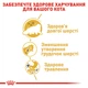 Сухий корм для дорослих кішок Royal Canin Persian Adult 2 кг (3182550702614) (2552020) - изображение 5