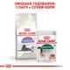 Консерви для кішок старше 7 років Royal Canin Instinctive 7+ ,шматочки в соусі, 85 г - зображення 7