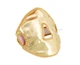 Прогревающая золотая электрическая маска для лица Beauty Mask BM-02 - изображение 5