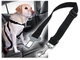 Автомобільний ремінь безпеки для собаки EasyTrip Black (542961) - зображення 1