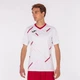 Футболка Joma TIGER III бело-красная XS 101903.206 - изображение 4