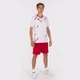 Футболка Joma TIGER III бело-красная XS 101903.206 - изображение 5