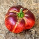 Семена томата Lovely Lush (Прекрасный Пышный) 10 семян OGOROD - изображение 4
