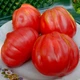 Насіння томату Red Figs (Інжир Червоний) 10 насінин OGOROD - зображення 1