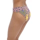 Плавки Freya Cala Fiesta 200977 M Multi (889501363452 ) - зображення 4