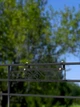 Балконна підставка для квітів та вазонів, чорна - зображення 2
