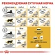 Royal Canin MAINE COON Adult 400 г Полнорационный сбалансированный корм специально для кошек породы мейн-кун в возрасте старше 15 месяцев - изображение 6
