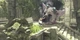The Last Guardian (PS4, російські субтитри) - зображення 7