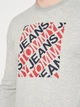 Свитшот мужской Tommy Jeans 10859.2 2XL Серый - изображение 4