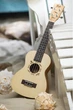 Укулеле концерт Flight DUC-325 SP/ZEB - изображение 4