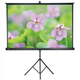 Экран 3V084MTV(4:3,84)Matte White - изображение 4