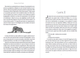 Le Petit Prince Antoine de Saint-Exupery - зображення 4