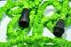 Шланг садовий універсальний Magic Hose Green 60 м - изображение 4