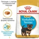Сухой корм для собак Royal Canin Yorkshire PUPPY для щенков породы Йоркширский терьер до 10 месяцев 0.5кг - изображение 9