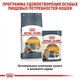 Сухой корм для кошек Royal Canin HAIR AND SKIN для кошек с чувствительной кожей и шерстью 2кг - изображение 7