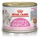 Вологий корм для кішок Royal Canin MOTHERBABYCAT мус для годуючих кішок і кошенят 195г - зображення 1