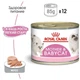 Вологий корм для кішок Royal Canin MOTHERBABYCAT мус для годуючих кішок і кошенят 195г - зображення 8