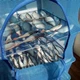 Сушарка Easyall-11 Полімерна 45x45x100 см 5 полиць захист від комах (RA 8811) - зображення 3
