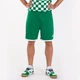 Шорты Joma TOLEDO 100006.450 зелено-белые, размер 4XS-3XS - изображение 2