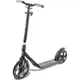 Frenzy самокат 250 mm Recreational black - изображение 1