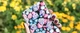 Чохол для Xiaomi Poco F5 Frosty berry (19020040099493450) - зображення 2