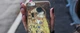 Чехол для Samsung Galaxy Note 3 Kiss (08870040134006068) - изображение 5