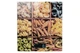 Весы кухонные Ardesto SСK-893-pasta 5 кг - изображение 1