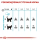 Сухой корм Royal Canin Urinary Care для кошек, помогает поддерживать здоровье мочевыводящих путей 4 кг (3182550842952) - изображение 7